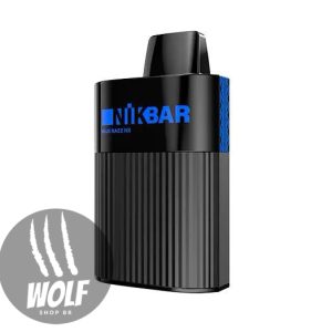 Nikbar 6000 Puffs Blue Razz Ice Pod Descartável